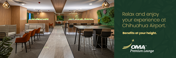 OMA Premium Lounge Chihuahua